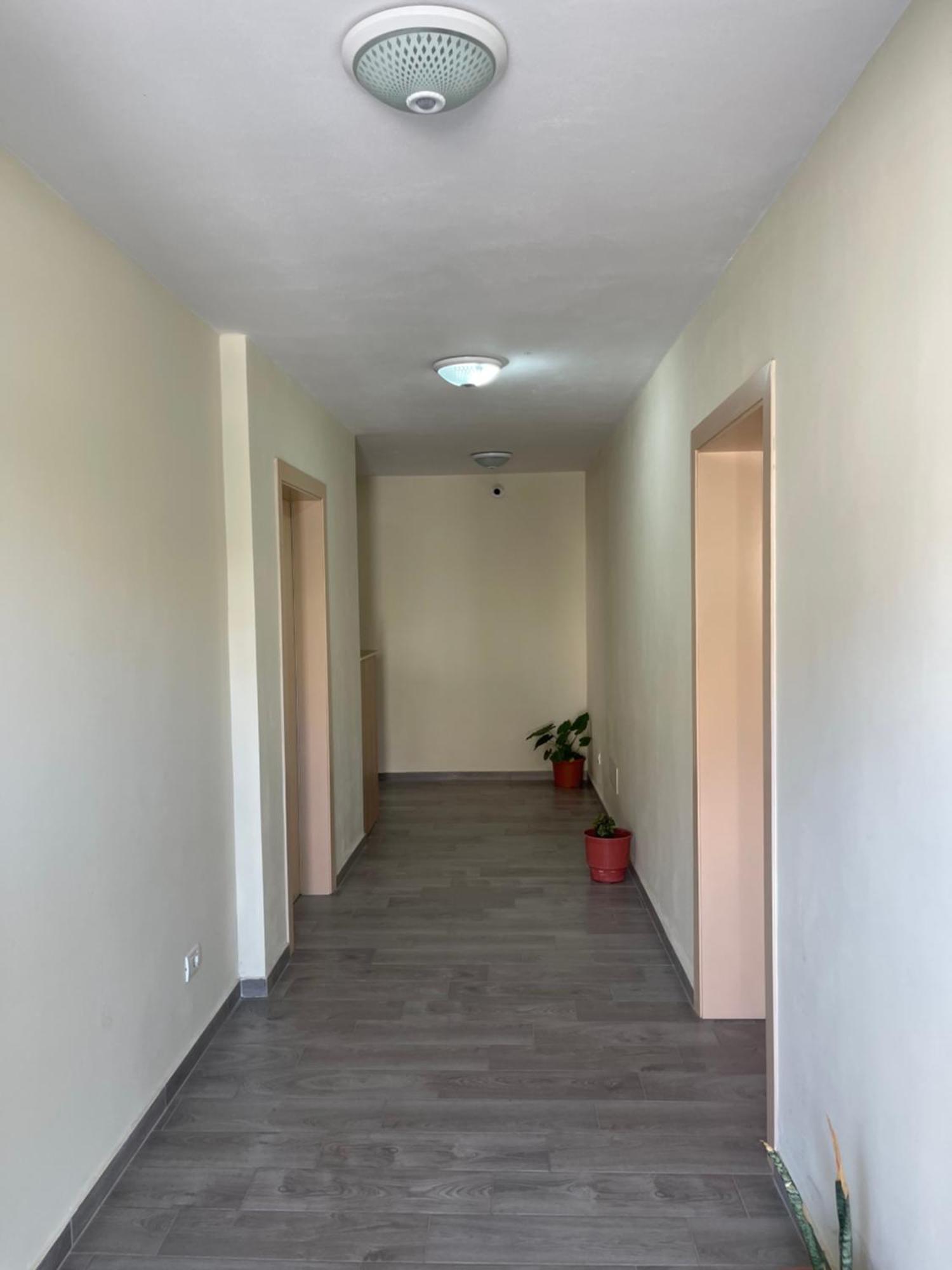 Vila Vladi دراس المظهر الخارجي الصورة
